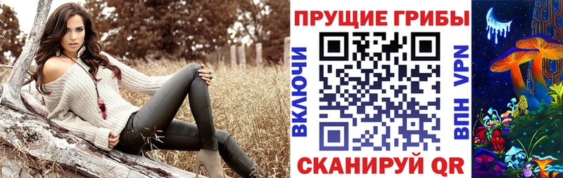 Галлюциногенные грибы Psilocybine cubensis Лабытнанги